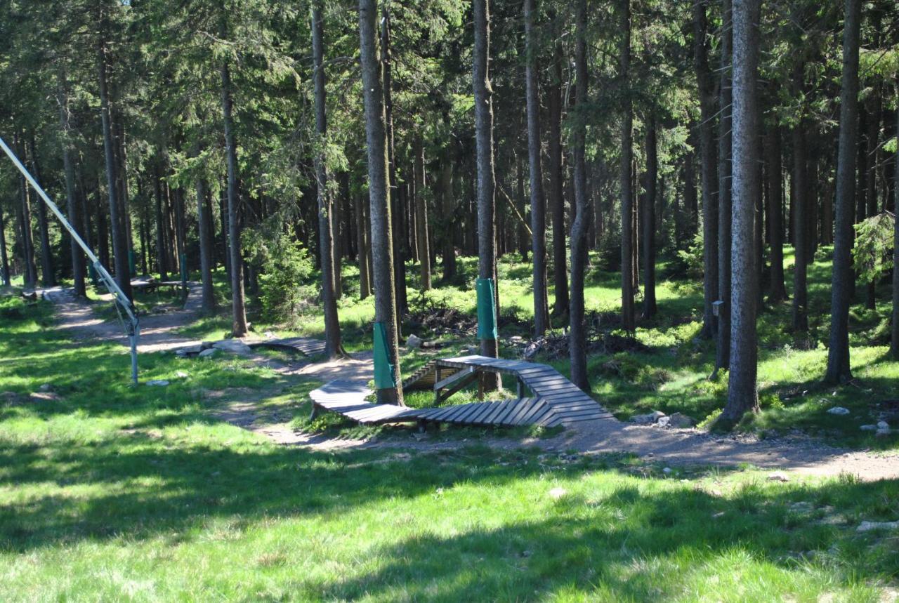 Apartament Harz-Rose Braunlage Zewnętrze zdjęcie