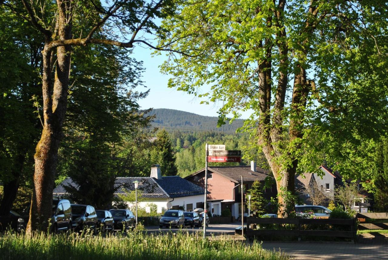 Apartament Harz-Rose Braunlage Zewnętrze zdjęcie