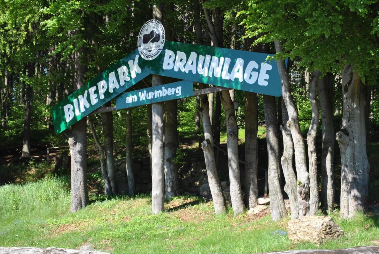 Apartament Harz-Rose Braunlage Zewnętrze zdjęcie