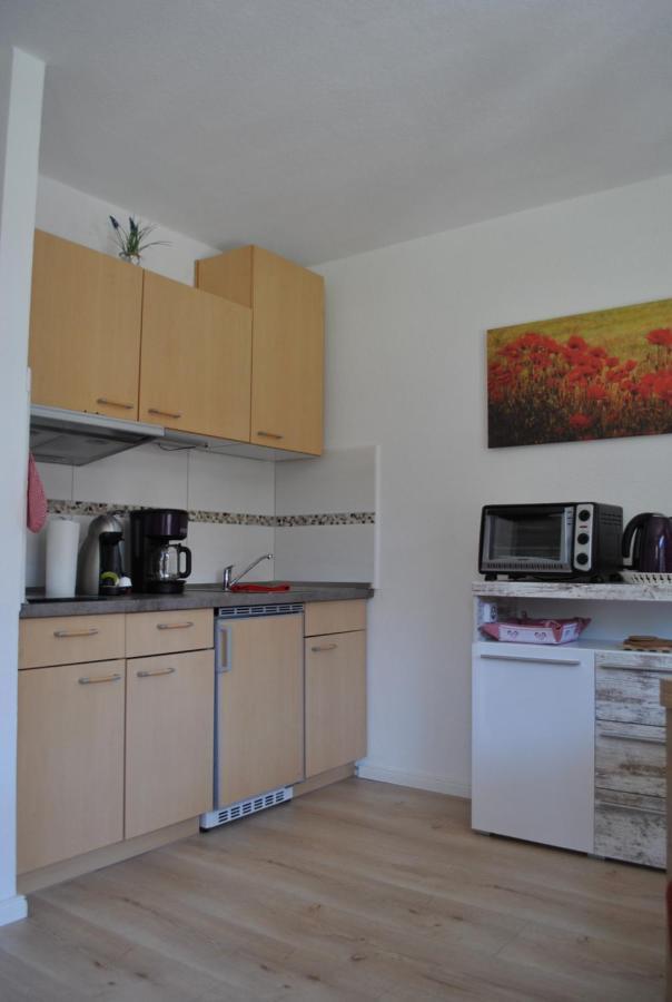 Apartament Harz-Rose Braunlage Zewnętrze zdjęcie