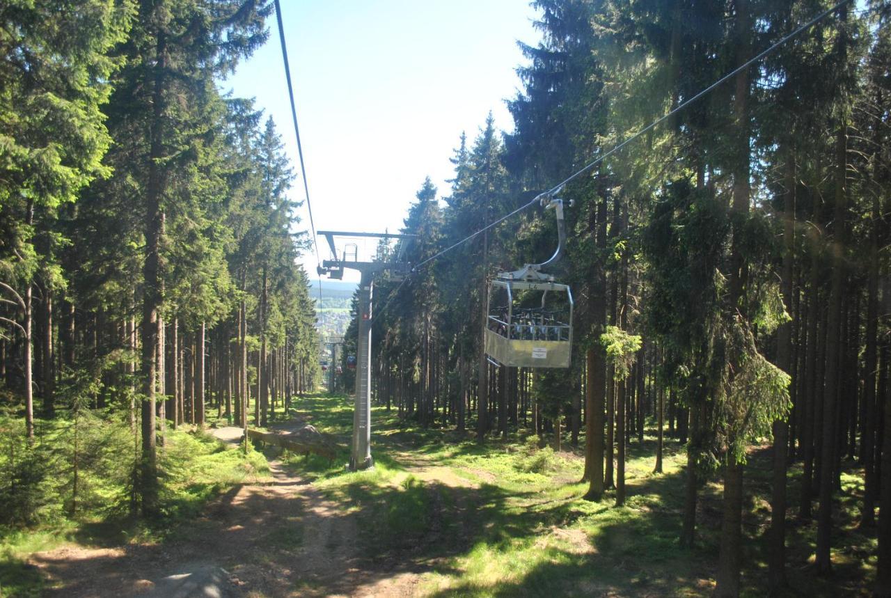 Apartament Harz-Rose Braunlage Zewnętrze zdjęcie