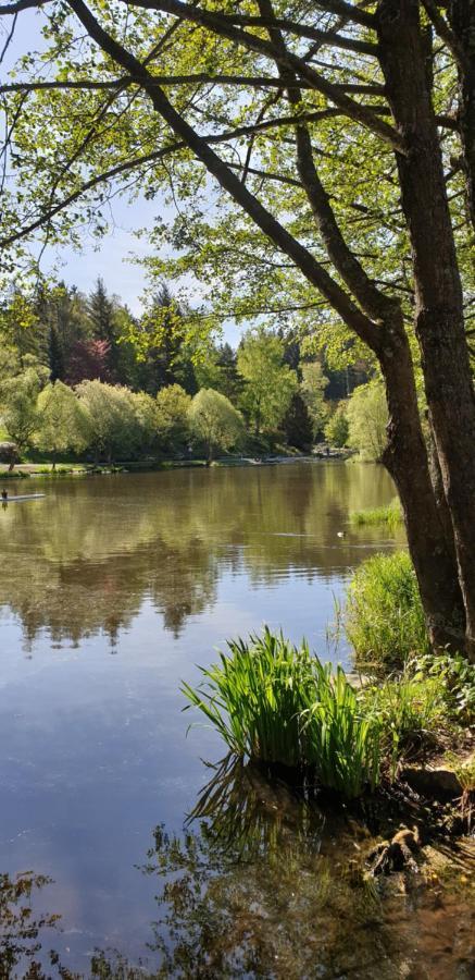 Apartament Harz-Rose Braunlage Zewnętrze zdjęcie